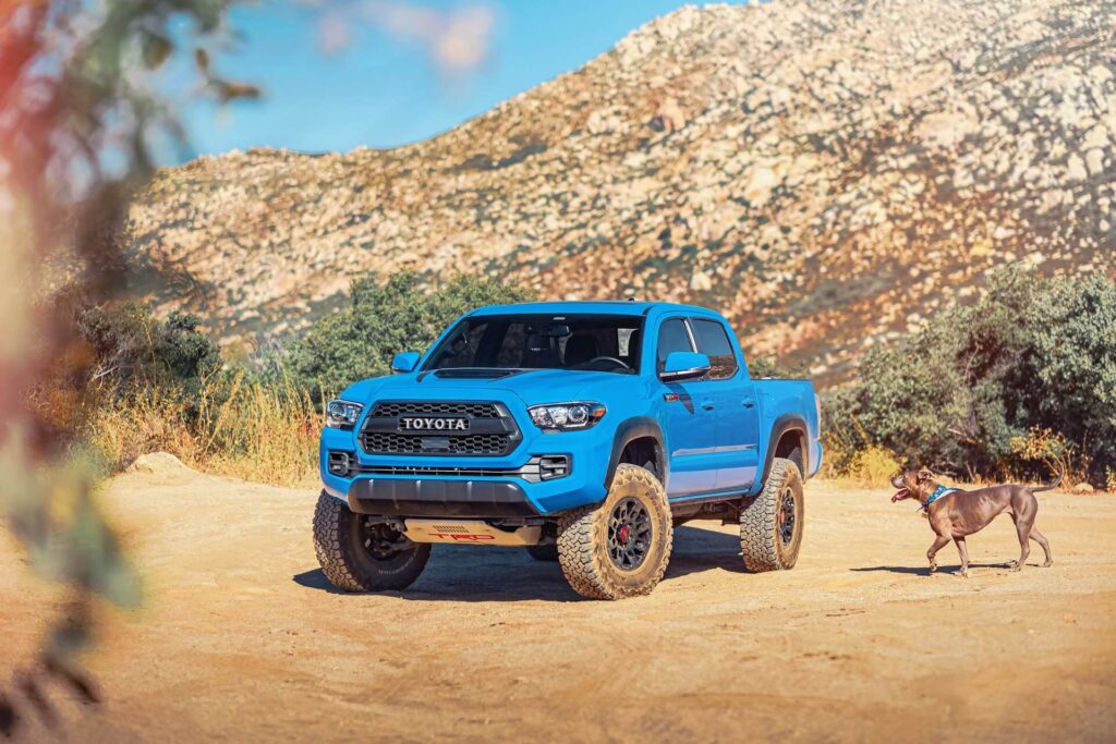 Blue Toyota Ute and Dog in the Desert