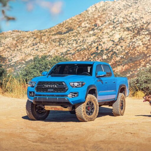 Blue Toyota Ute and Dog in the Desert